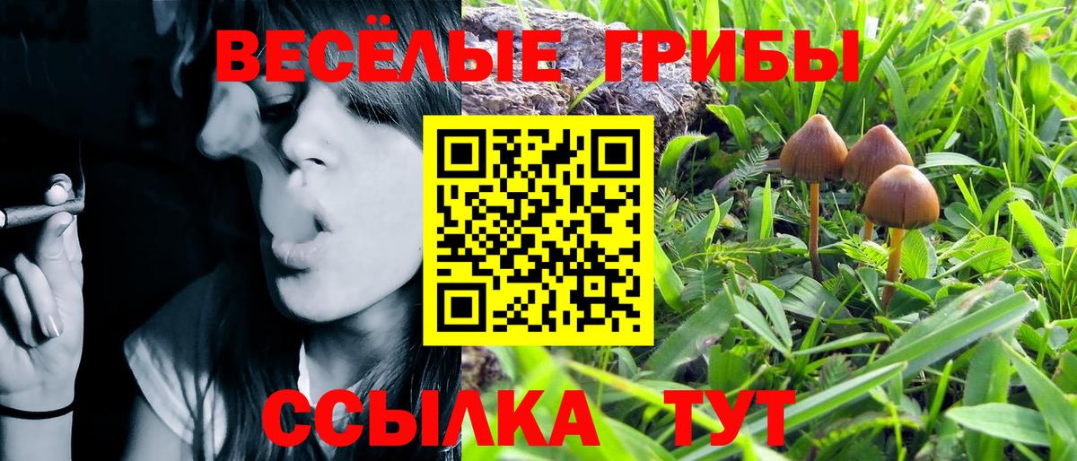 Реж  где можно купить наркотик  Псилоцибиновые грибы Psilocybe  Вход с VPN  Галлюциногенные грибы GOLDEN TEACHER 