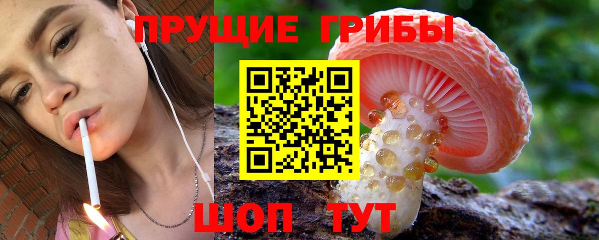 Галлюциногенные грибы Psilocybe Реж